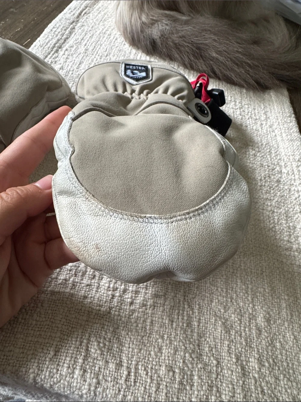 Heli Ski Female - mitt